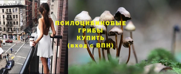 PSILOCYBIN Горнозаводск